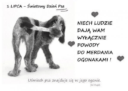 Życzenia na Dzień Psa